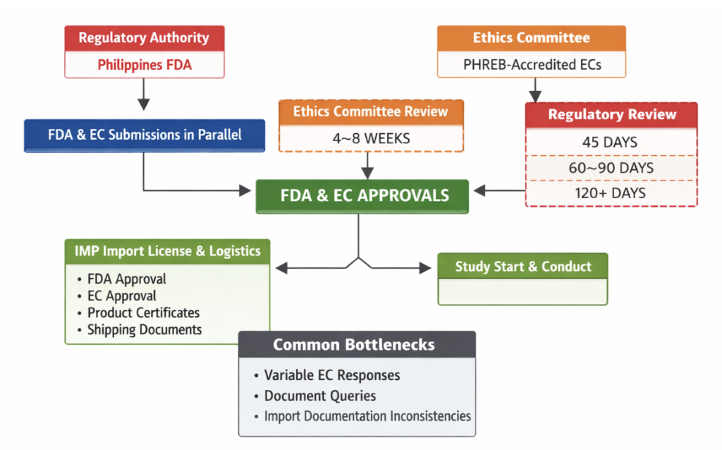 Regulatory process flow in the Philippines