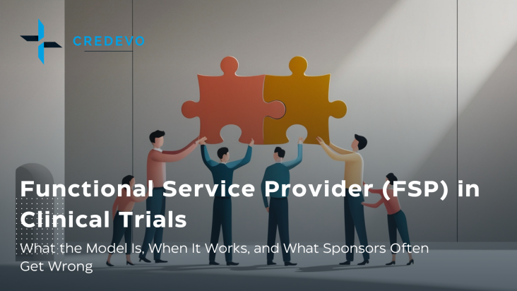 Functional Service Provider: What the Model Is, When It Works, and What Sponsors Often Get Wrong