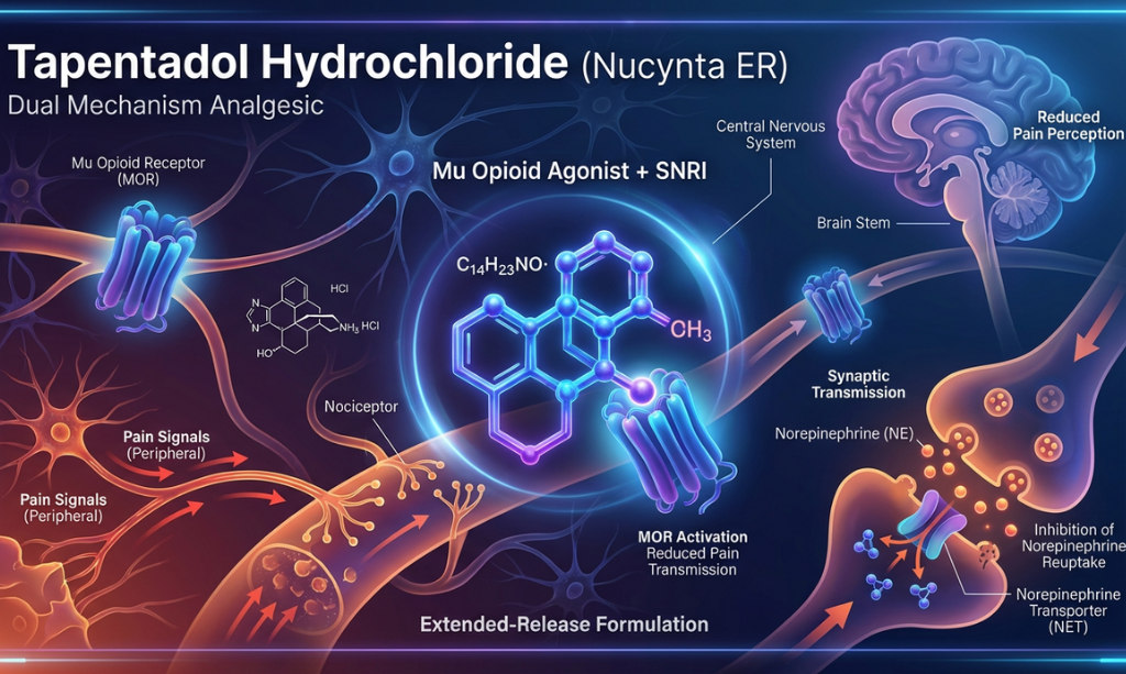 Nucynta ER (Tapentadol Hydrochloride Extended-Release)_MoA_Credevo